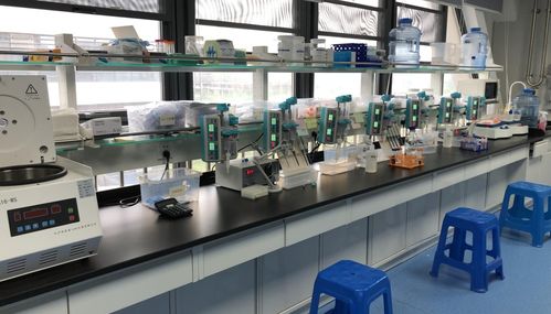 早筛新星天浚元生生物获国高生物战投，开启健康与环保跨界创新